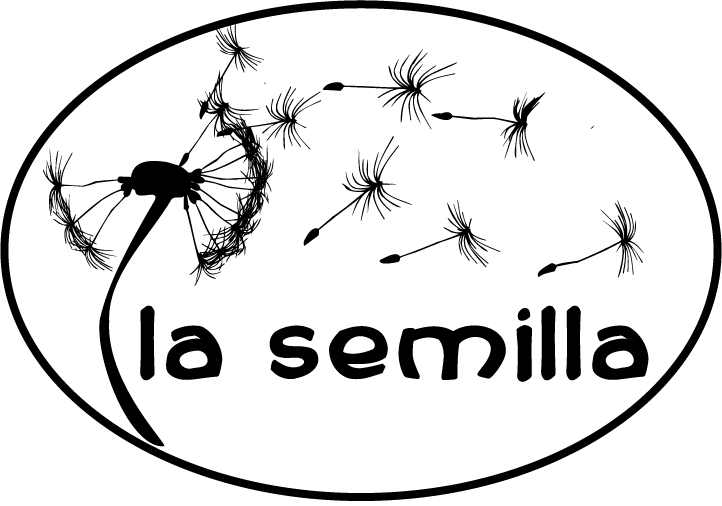 Logo 11vo